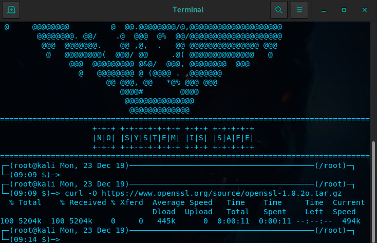 Wget windows. Network cli Linux. Turbo c Linux cli. Network Tools Linux cli. Bash cli Graphics.