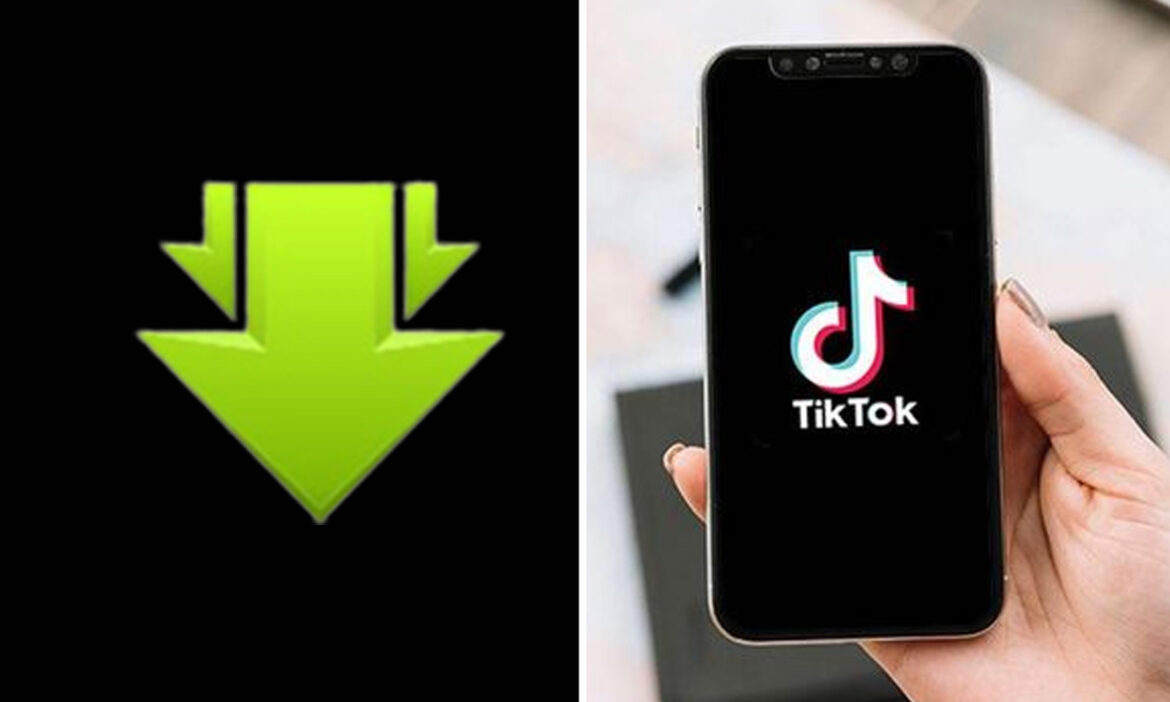 Cara Download Video TikTok Dari Savefrom.net - Monitor Teknologi